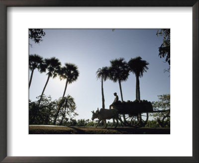 A Boy Rides On An Ox-Drawn Cart In India by James P. Blair Pricing Limited Edition Print image