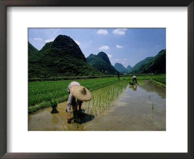 Farmers In Rice Fields Of Farming Village, Yangdi Valley by Raymond Gehman Pricing Limited Edition Print image