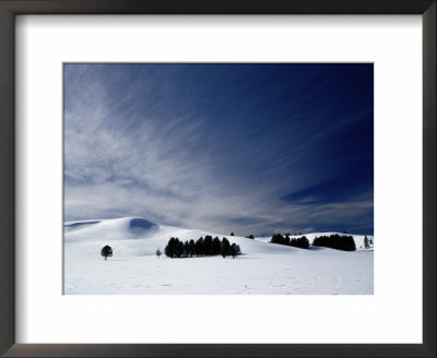 Winter Landscape At Hayden Valley by Raymond Gehman Pricing Limited Edition Print image