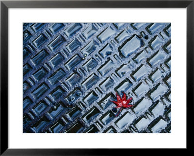A Single Red Maple Leaf On A Steel Manhole Cover, Kyoto, Kinki, Japan, by Frank Carter Pricing Limited Edition Print image