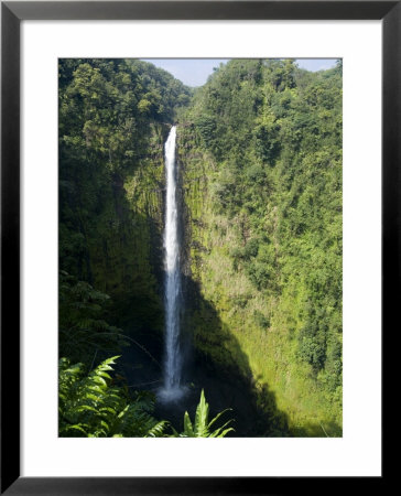 Akaka Falls, The Island Of Hawaii (Big Island), Hawaii, Usa by Ethel Davies Pricing Limited Edition Print image