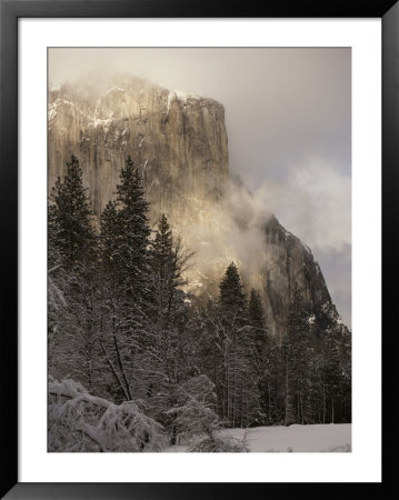Scenic Of Mountain And Fir Trees by Anne Keiser Pricing Limited Edition Print image