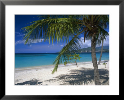 Palm Tee And Beach, Grand Anse Beach, Grenada, Windward Islands, Caribbean, West Indies by John Miller Pricing Limited Edition Print image