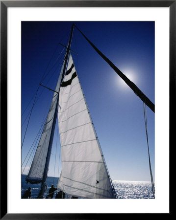 A Tourist Catamaran On Shark Bay In The Afternoon by Jason Edwards Pricing Limited Edition Print image