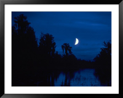 Moon Over Okeefenokee Swamp by Warren Flagler Pricing Limited Edition Print image