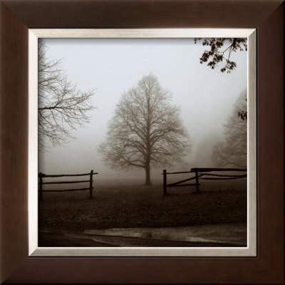 Morning Textures by Harold Silverman Pricing Limited Edition Print image