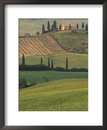 Tuscan Villa And Farmhouse, San Quirico D'orcia, Val D'orcia, Italy by Walter Bibikow Pricing Limited Edition Print image