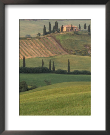Tuscan Villa And Farmhouse, San Quirico D'orcia, Val D'orcia, Italy by Walter Bibikow Pricing Limited Edition Print image
