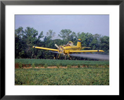 Crop Dusting Plane by Chuck St. John Pricing Limited Edition Print image