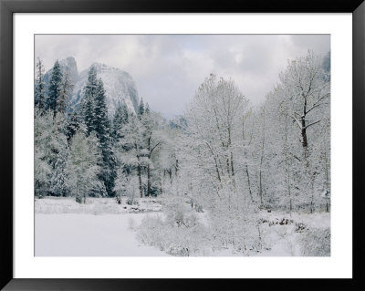 Sentinel Rock And A Nearby Clearing After A Snow by Marc Moritsch Pricing Limited Edition Print image