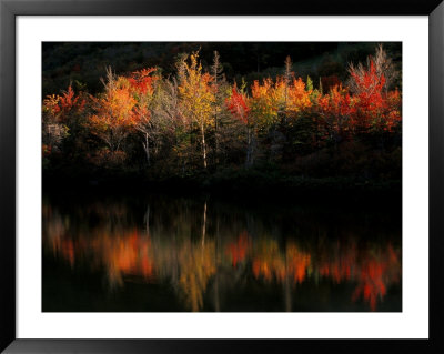 Fall Foliage With Reflections, New Hampshire, Usa by Joanne Wells Pricing Limited Edition Print image