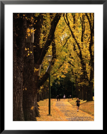 Fitzroy Gardens, Melbourne, Australia by James Braund Pricing Limited Edition Print image