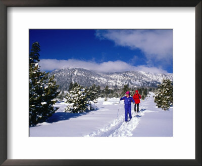Cross Country Skiing In Hope Valley, Usa by Lee Foster Pricing Limited Edition Print image