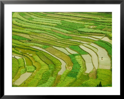 Farmland By The Three Gorges Of The Yangtze River, China by Keren Su Pricing Limited Edition Print image