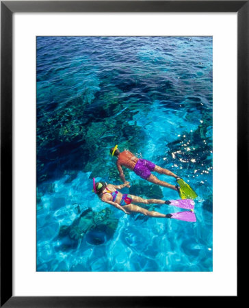 Snorklers, Bahamas, Caribbean by Greg Johnston Pricing Limited Edition Print image