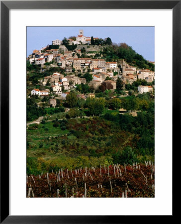 Medieval Hilltop Town Overlooking Vineyards, Motovun, Croatia by Wayne Walton Pricing Limited Edition Print image