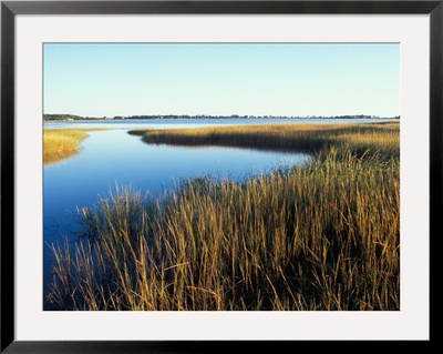 Tidal Creek Empties Into Biddeford Pool, Anuszewski Property, Maine, Usa by Jerry & Marcy Monkman Pricing Limited Edition Print image