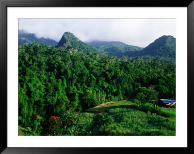 Overhead Of Forested Mountains And Cane Field, Nadi, Fiji by Peter Hendrie Pricing Limited Edition Print image