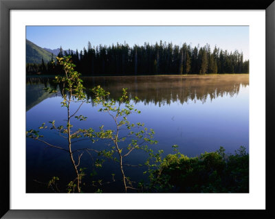 Trees Reflected In Lake Grand Teton National Park, Wyoming, Usa by Rob Blakers Pricing Limited Edition Print image