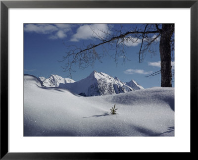 Winter Scene Inside Jasper National Park by Dean Conger Pricing Limited Edition Print image