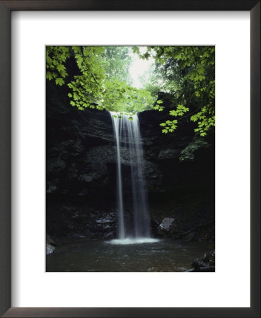 A Gentle Woodland Waterfall With Maple Trees by Bill Curtsinger Pricing Limited Edition Print image