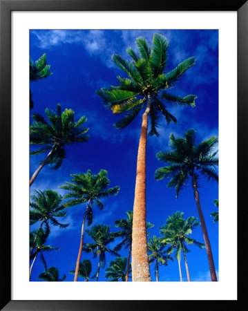 Palm Trees On Yanuca Island On The Coral Coast,Yanuca Island, Fiji by Richard I'anson Pricing Limited Edition Print image