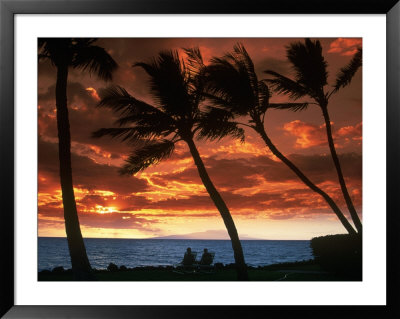 People Under Palm Trees At Sunset, Maui, Hi by David Ennis Pricing Limited Edition Print image