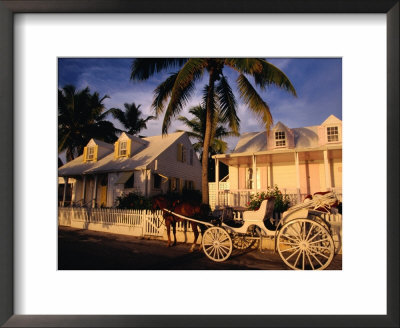 A Horse-Drawn Carriage Stands In Front Of A Loyalist's Home, Eleuthera Point, Bahamas by Greg Johnston Pricing Limited Edition Print image