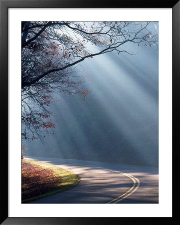 Road On A Misty Morning, Blue Ridge Parkway, Nc by Robert Finken Pricing Limited Edition Print image