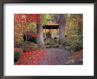 Japanese Gazebo With Fall Colors, Spokane, Washington, Usa by Jamie & Judy Wild Pricing Limited Edition Print image