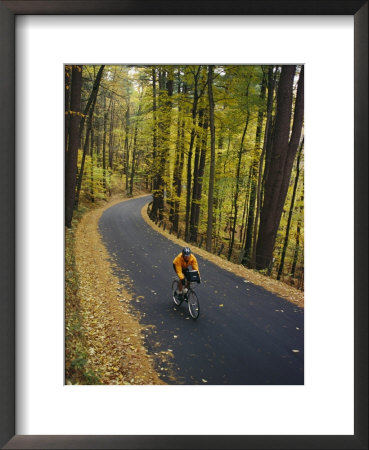 A Cyclist Riding Along A Rural Road In The Fall by Skip Brown Pricing Limited Edition Print image