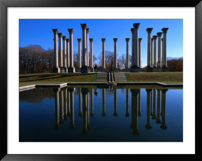 Capitol Columns Reflected In A Pool In The Gardens Of Us National Arboretum, Washington Dc, Usa by Rick Gerharter Pricing Limited Edition Print image