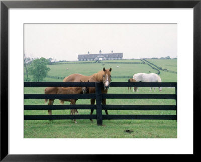 Woodford County Horse Farms, Ky by Jim Schwabel Pricing Limited Edition Print image