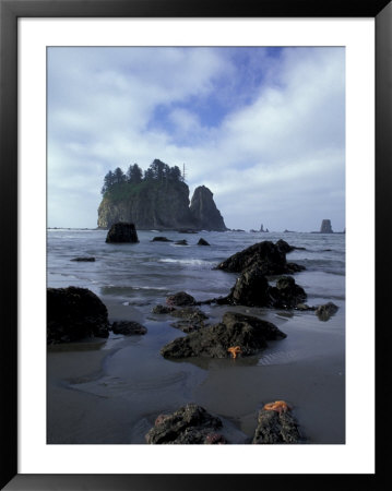 Sea Stacks And Sea Stars On Second Beach, Olympic National Park, Washington, Usa by Jamie & Judy Wild Pricing Limited Edition Print image