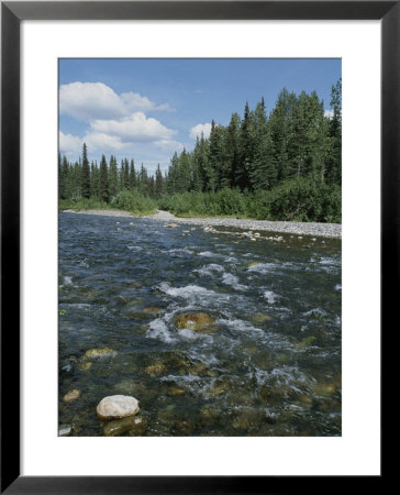 Prairie Creek Rushes Over A Rock-Strewn Bed by Rich Reid Pricing Limited Edition Print image