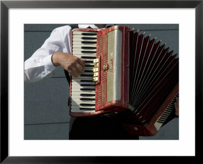 Street Accordionist, Prague, Czech Republic by David Barnes Pricing Limited Edition Print image