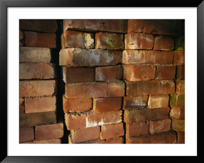 A Stack Of Bricks by Joel Sartore Pricing Limited Edition Print image