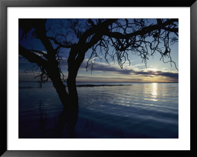 Dawn Rises Over A Serene Lake by Jason Edwards Pricing Limited Edition Print image