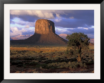 Morning Light, Monument Valley, Utah, Usa by Joanne Wells Pricing Limited Edition Print image