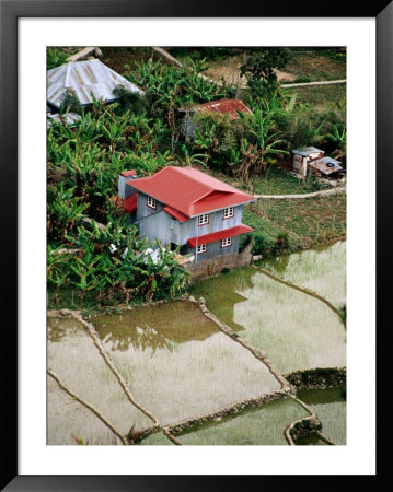 House By Rice Paddies, Aguid, Philippines by Pershouse Craig Pricing Limited Edition Print image