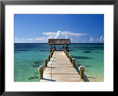 Providence Island, Bahamas, Caribbean by Peter Adams Pricing Limited Edition Print image