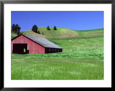 Barn In Field Of Wheat, Palouse Area, Washington, Usa by Janell Davidson Pricing Limited Edition Print image