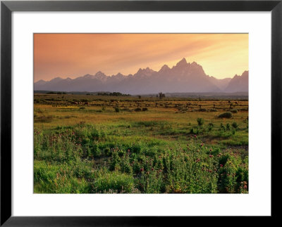 Wooden Fence Across Plain With Teton Range Behind, Grand Teton National Park, Usa by John Elk Iii Pricing Limited Edition Print image