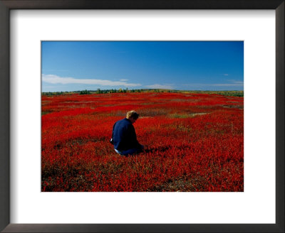 A Person Sits In A Field by Heather Perry Pricing Limited Edition Print image