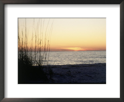 Sunset On Sanibel Island, Gulf Coast Of Fl by David Davis Pricing Limited Edition Print image
