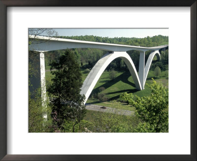Natchez Trace Parkway, Tn by Jeff Greenberg Pricing Limited Edition Print image