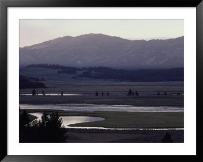 Scenic View Of Hayden Valley by Raymond Gehman Pricing Limited Edition Print image