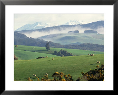 New Zealand Pastoral by Jan Halaska Pricing Limited Edition Print image