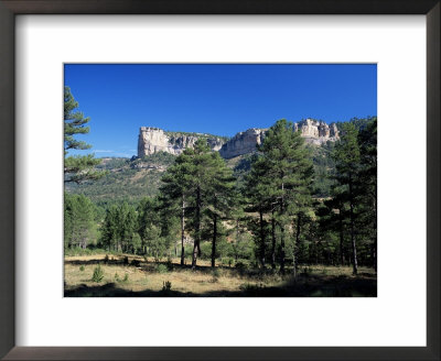 Pine Forest And Cliffs Above The Jucar Gorge, Cuenca, Castilla-La Mancha (New Castile), Spain by Ruth Tomlinson Pricing Limited Edition Print image