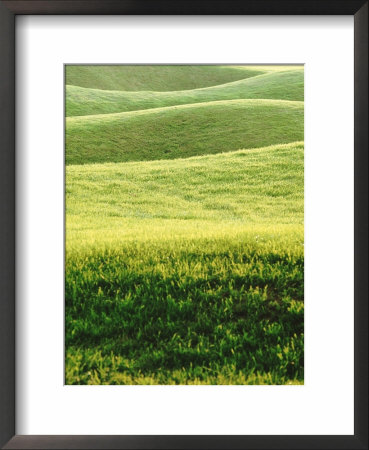 Perfect Lawn, Mount Juliet, Co Kilkenny, Ireland, Golf Course Same As Feature Pic No by Georgia Glynn-Smith Pricing Limited Edition Print image